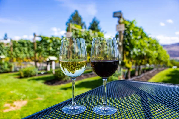 couple cheering red white wines glasses