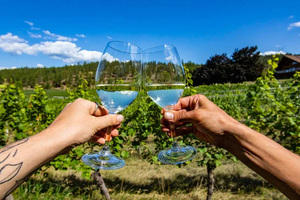 Okanagan Valley vingård Druvvin — Stockfoto