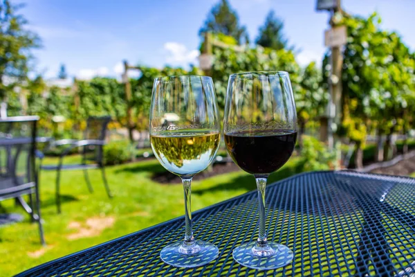 Par jublande röda vita viner glasögon — Stockfoto