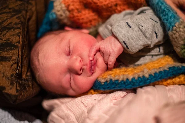 Recién nacido niño duerme en mantas — Foto de Stock