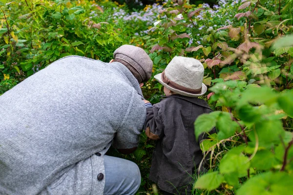 Pai e criança colhendo plantas no parque — Fotografia de Stock