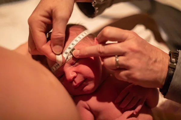 A szülész ellenőrzi az újszülött csecsemőt — Stock Fotó