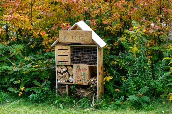 Insectes texte sur maison en bois dans la forêt — Photo