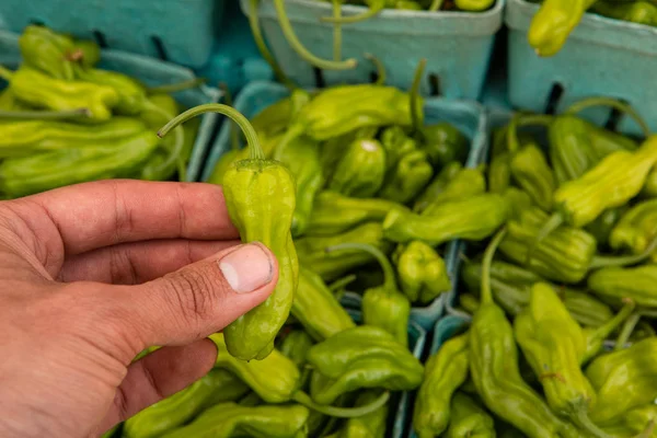 Farmers market produce: fresh veggies