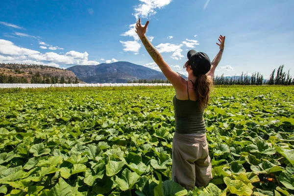 Eine Frau besucht die Felder im Okanagan-Tal — Stockfoto