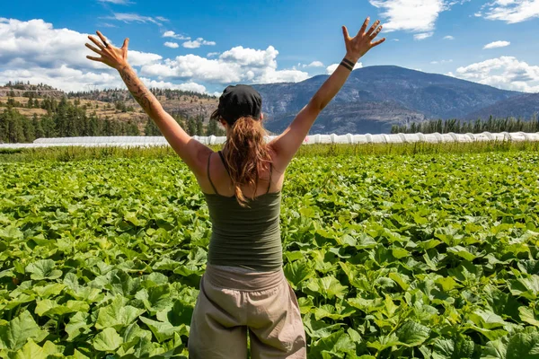 Uma mulher visita campos Okanagan Valley — Fotografia de Stock