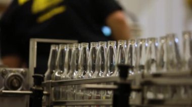 Bira şişeleri bira fabrikasında şişeleniyor.