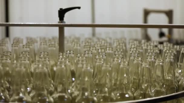 Sörösüvegek a sörfőzde palackozósorában — Stock videók