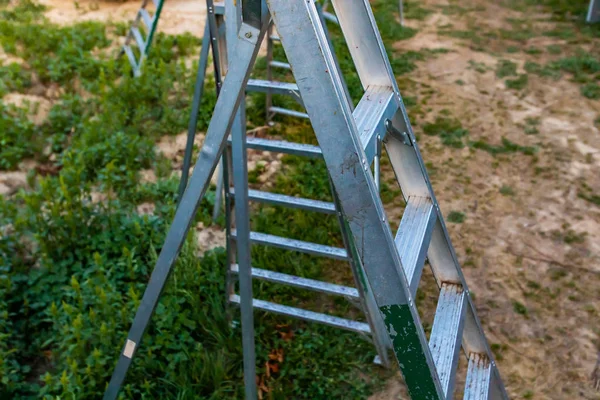 Grupo de escaleras en el huerto de cerezos —  Fotos de Stock