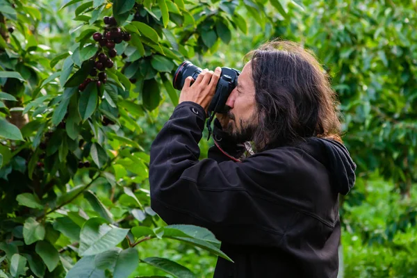 Fotógrafo en el huerto de cerezos — Foto de Stock