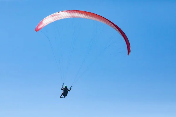 Paragliding. Paraglider güneşli bir günde uçuyor — Stok fotoğraf
