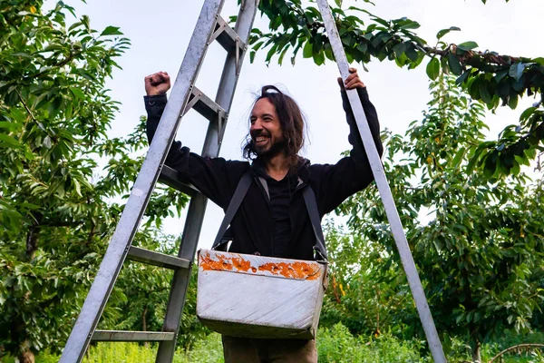 Cherry-picker with garden ladder