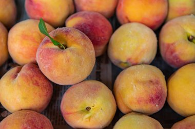 Yerel markette güzel taze meyveler