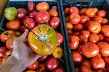 Yerel gıda pazarında taze sebzeler.