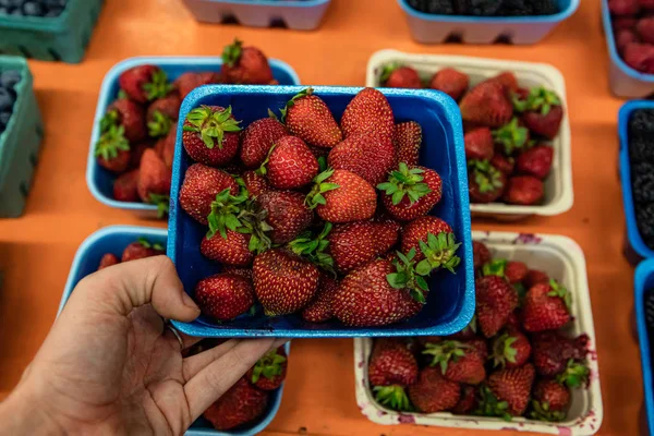 Bella frutta fresca al mercato locale — Foto Stock