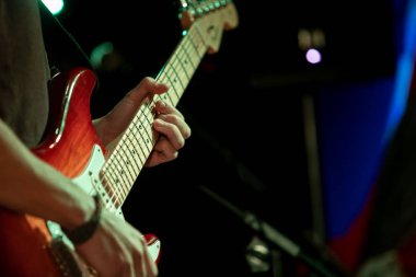 Dünya Festivali 'nde sahnede gitarist
