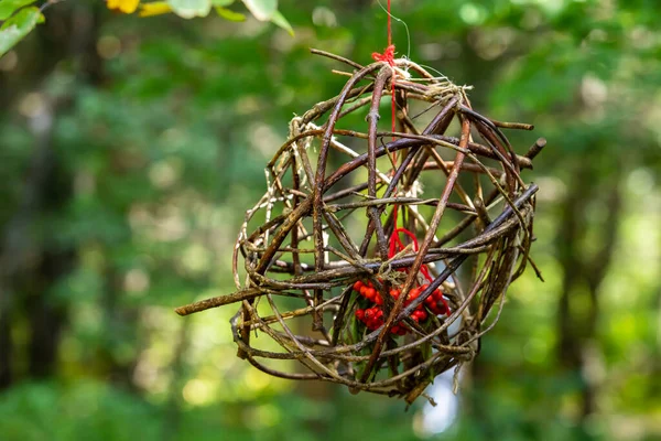 Mangeoire artisanale aux petits oiseaux dans la nature — Photo