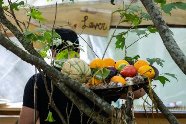 Ağaçta sergilenen organik sebzeler