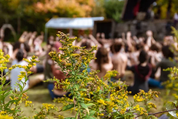 Meditación en la naturaleza en el festival de la tierra — Foto de Stock