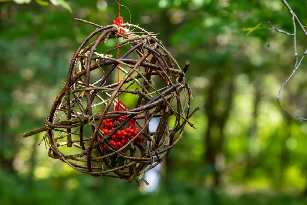 Mangeoire artisanale aux petits oiseaux dans la nature — Photo