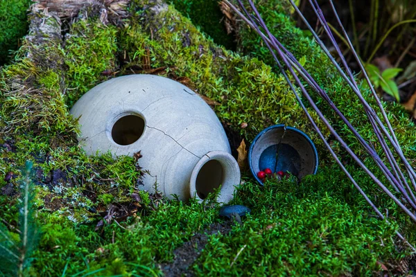 Monde fantaisiste des fées miniatures dans les bois — Photo