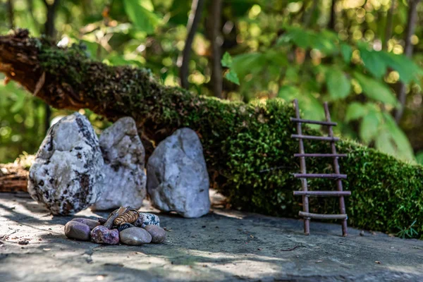 Monde fantaisiste des fées miniatures dans les bois — Photo