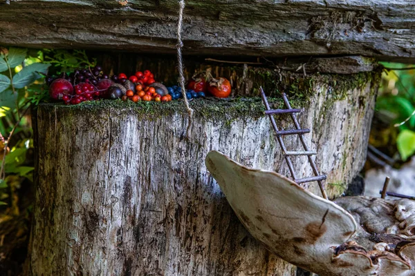 Caprichoso mundo de hadas en miniatura en los bosques —  Fotos de Stock