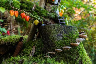 Whimsical miniature fairy world in woods clipart