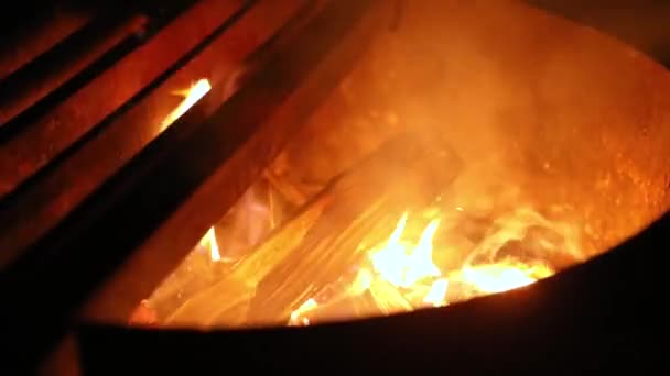 Vie en camping : feu de joie dans la nuit — Video