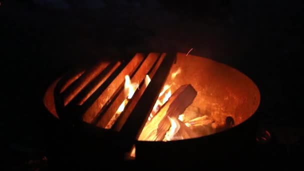 Camping life: bonfire in the night — Stock Video