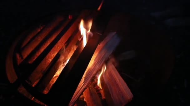 Vie en camping : feu de joie dans la nuit — Video