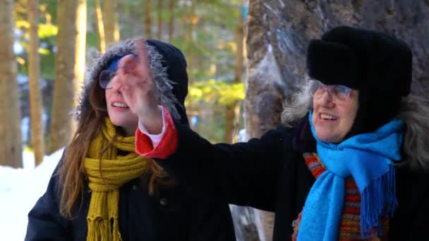 Kışın bankta konuşan iki kadın.. — Stok video