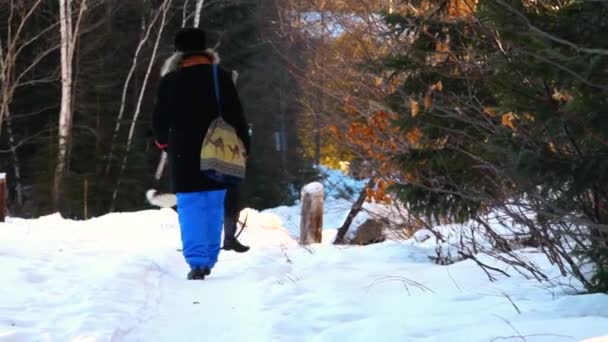 Twee vrouwen wandelen husky hond in de winter. — Stockvideo