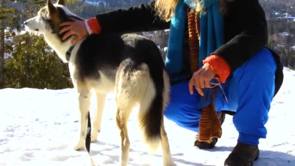 Felice vecchia donna accarezzando un cane husky alaskan — Video Stock