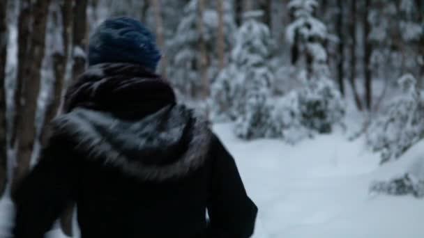 Menina caminhando e caminhando sozinha na floresta no inverno — Vídeo de Stock