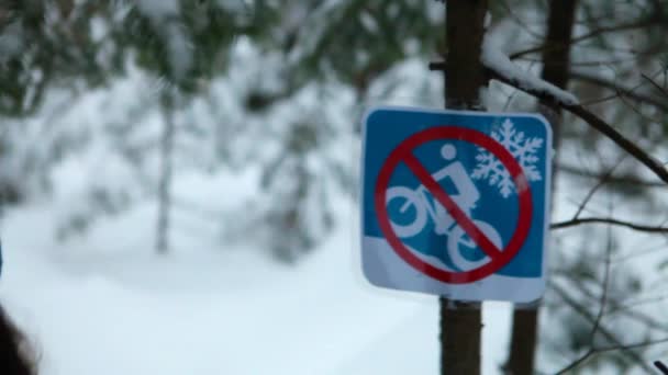 Dziewczyna spacery i wędrówki samotnie w lesie w zimie — Wideo stockowe