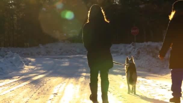 Deux femmes promenant un chien husky en hiver . — Video