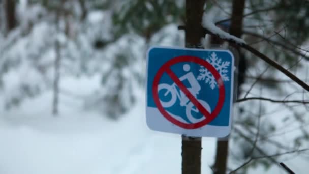 Meisje wandelen en wandelen alleen in het bos in de winter — Stockvideo