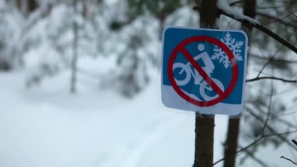 Chica caminando y senderismo solo en el bosque en invierno — Vídeos de Stock