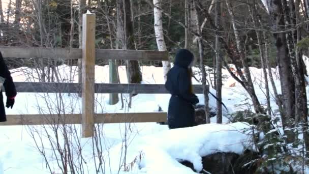 Dos mujeres paseando perro husky en invierno . — Vídeo de stock