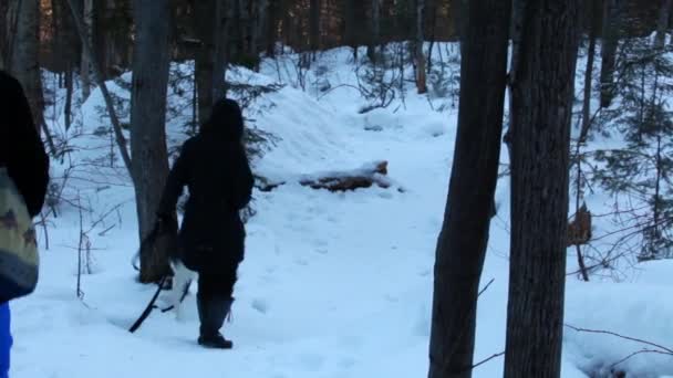 Deux femmes marchant avec chien husky . — Video