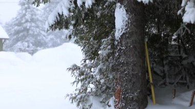 Kışın ortasında kar doğayı kapladı.