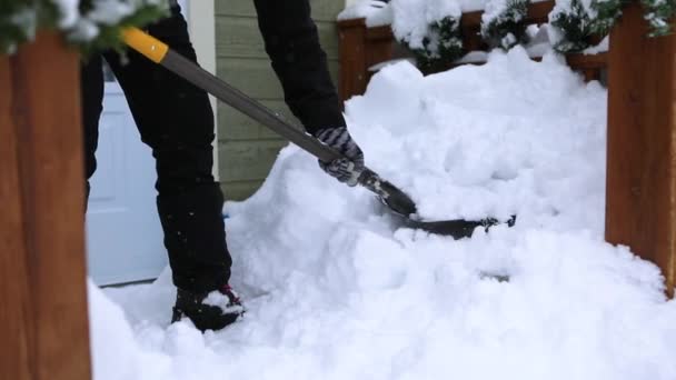 Nieve siendo paleada desde la entrada de una casa exterior — Vídeo de stock