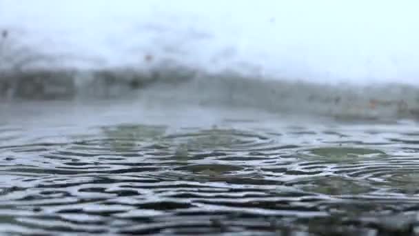 Regen fällt im Winter in eine eisige Pfütze — Stockvideo