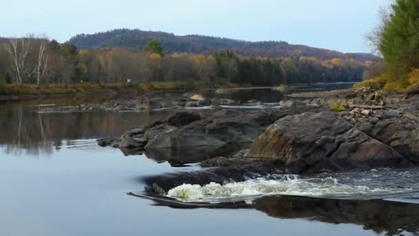 Hermosa vista del río que fluye con calma — Vídeos de Stock