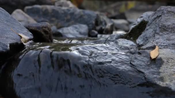 Тече вода гірської річки — стокове відео