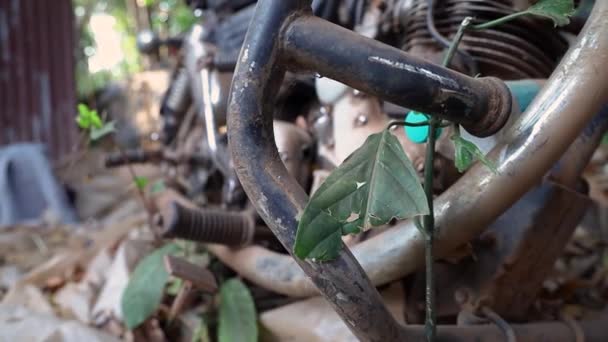 Εγκαταλελειμμένη ινδική μοτοσικλέτα καταδρομικό. — Αρχείο Βίντεο