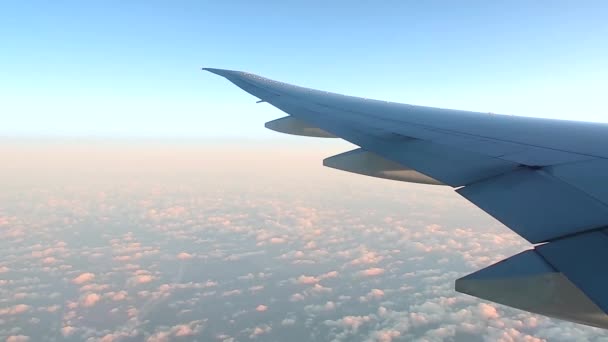 Flying airplane wing from window view. — Stock Video