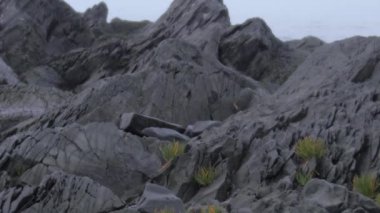 Gaspesie bölgesindeki Kara Kaya Dağı