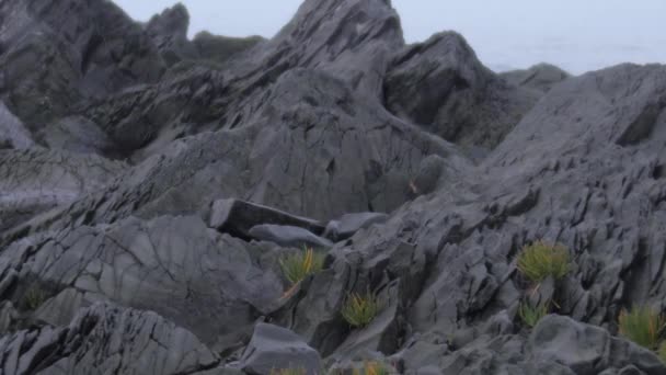 Montaña de roca negra en la región de Gaspesie — Vídeos de Stock